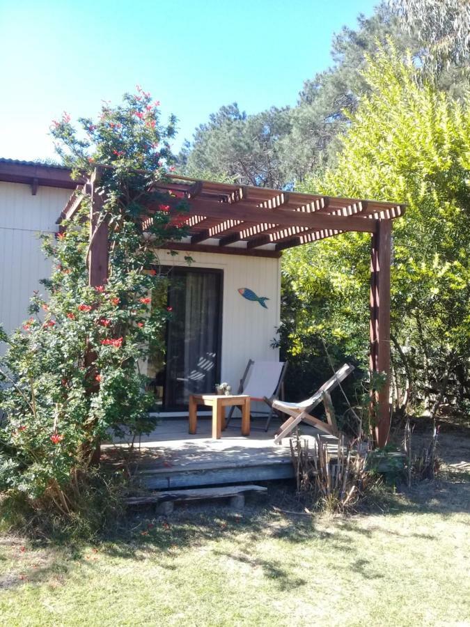 La Maison Suites & Gastronomia La Paloma Kültér fotó