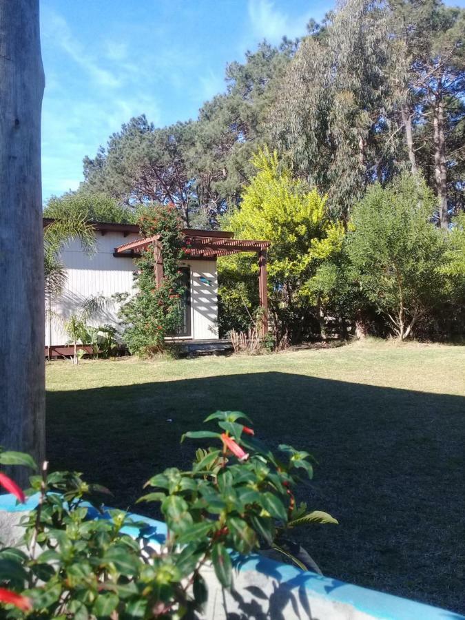 La Maison Suites & Gastronomia La Paloma Kültér fotó